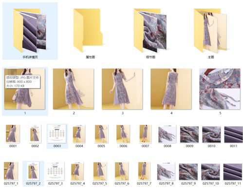 哔哩哔哩专栏 多元创作生态下的专业内容高地